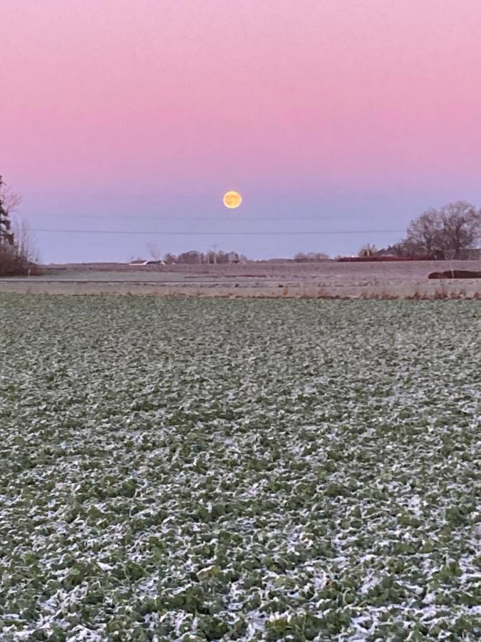 Windalens Pa Oesterlen Tomelilla Esterno foto