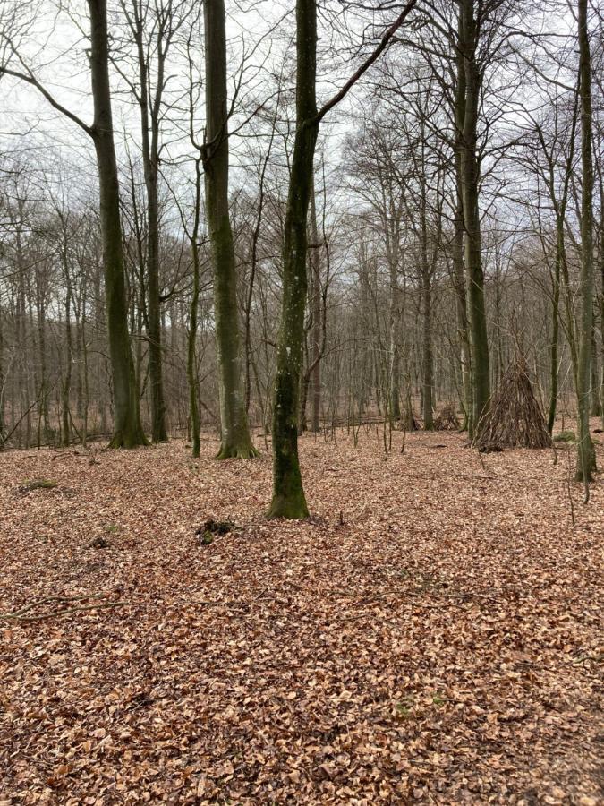 Windalens Pa Oesterlen Tomelilla Esterno foto